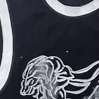Shop (Women) CHANEL 23C Fall/Winter Black Tiger Graphic Colorblock Vest. P72070-K10330-NA934