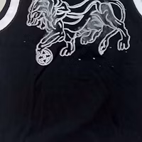 Purchase (Women) CHANEL 23C Fall/Winter Black Tiger Graphic Colorblock Vest. P72070-K10330-NA934