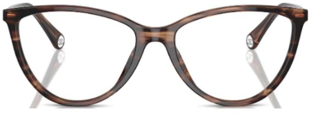 (W) 샤넬 캣아이 안경테 토토이즈쉘 로고 템플 CH3470U Lookbook (W) 샤넬 캣아이 안경테 토토이즈쉘 로고 템플 CH3470U