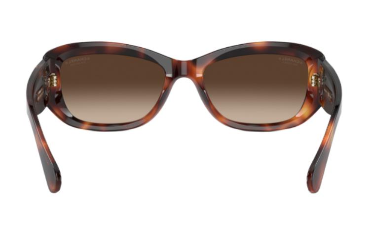 (Women) CHANEL  Irregular Brown Sunglasses with Logo Temple Design. 2.266059E+7 圖 3