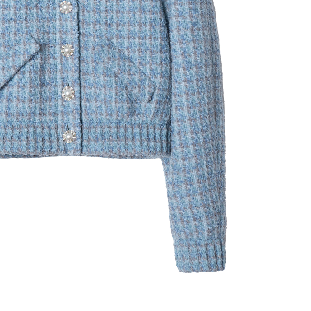 Shop (W) シャネル 2024 春夏 ブルーチェック柄ラペル長袖ジャケット P73346-V64915-NJ593