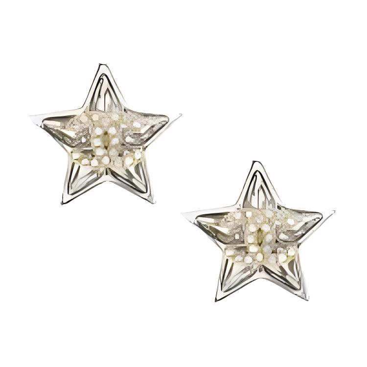 (Women) CHANEL Spring/Summer 23 Crystal Star Double C Logo Cubic Zirconia Earrings. ABA911-B10902-NO032