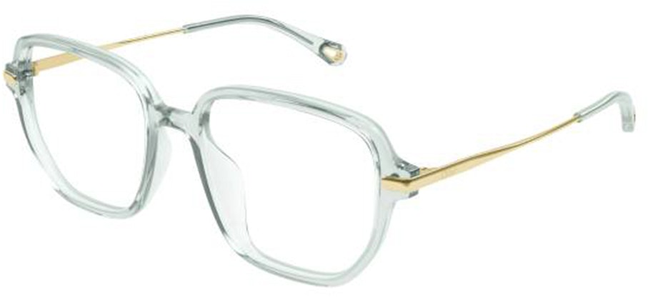 women-chloe-green-irregular-translucent-acetate-optical-eyeglass-frames-ch-0218-oa-004