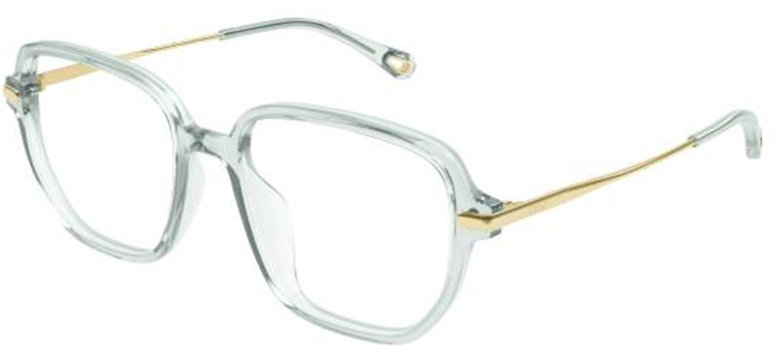 (W) Chloe 綠色不規則透明醋酸光學眼鏡框 CH0218OA004 Buy (W) Chloe 綠色不規則透明醋酸光學眼鏡框 CH0218OA004