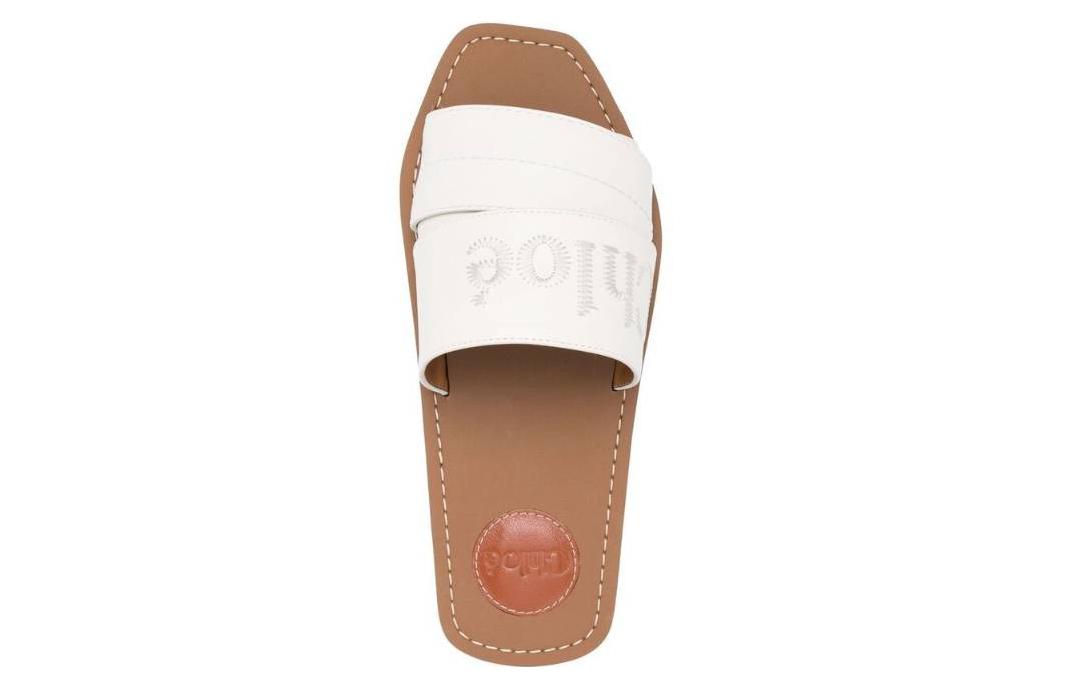 Lookbook (Women) Chloe Calfskin White 'Fashion Slide' C22W188BF101