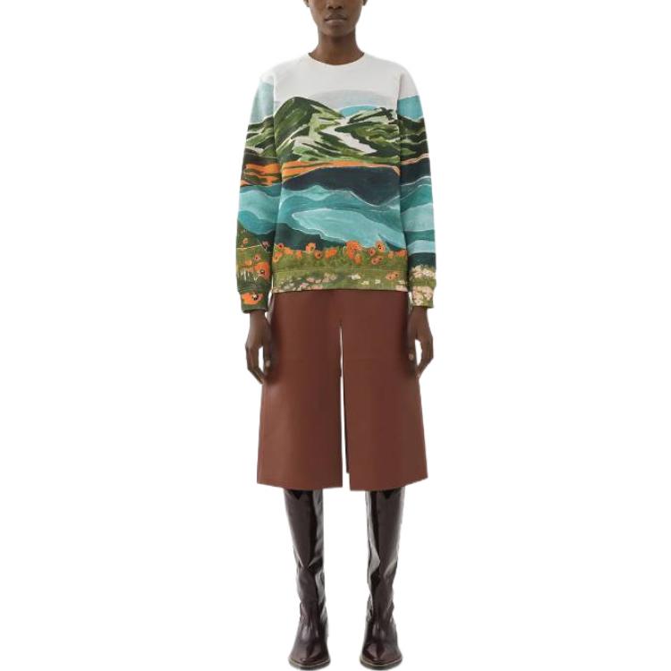 Shop (W) Chloé 圖案印花套頭衫 FW22 多色款式衛衣 CHC22WJH12190674