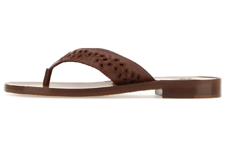 (Women) Chloe Leather Perforated Detail Slide Sandals 'Fashion Brown' CHC23U848DW645