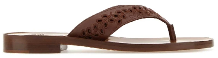 Order (Women) Chloe Leather Perforated Detail Slide Sandals 'Fashion Brown' CHC23U848DW645