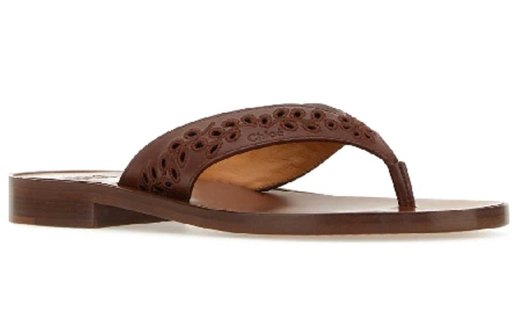 Lookbook (W) Chloe Leder Sandalen mit Perforiertem Detail ''Fashion Brown'' CHC23U848DW645