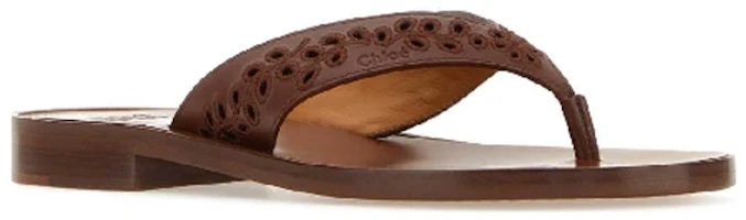 Lookbook (Women) Chloe Leather Perforated Detail Slide Sandals 'Fashion Brown' CHC23U848DW645