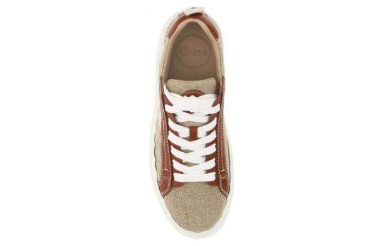 Purchase (W) Chloe Low-Top Skate ''Marrone Comodo'' CHC22U108Z490U