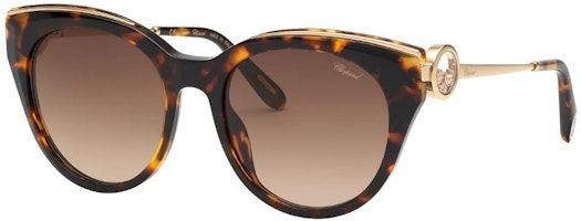 (Women) Chopard Irregular Tortoiseshell Sunglasses with Jewel Accents. 95221-0731 (Women) Chopard Irregular Tortoiseshell Sunglasses with Jewel Accents. 95221-0731
