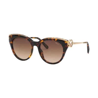 (Women) Chopard Irregular Tortoiseshell Sunglasses with Jewel Accents. 95221-0731