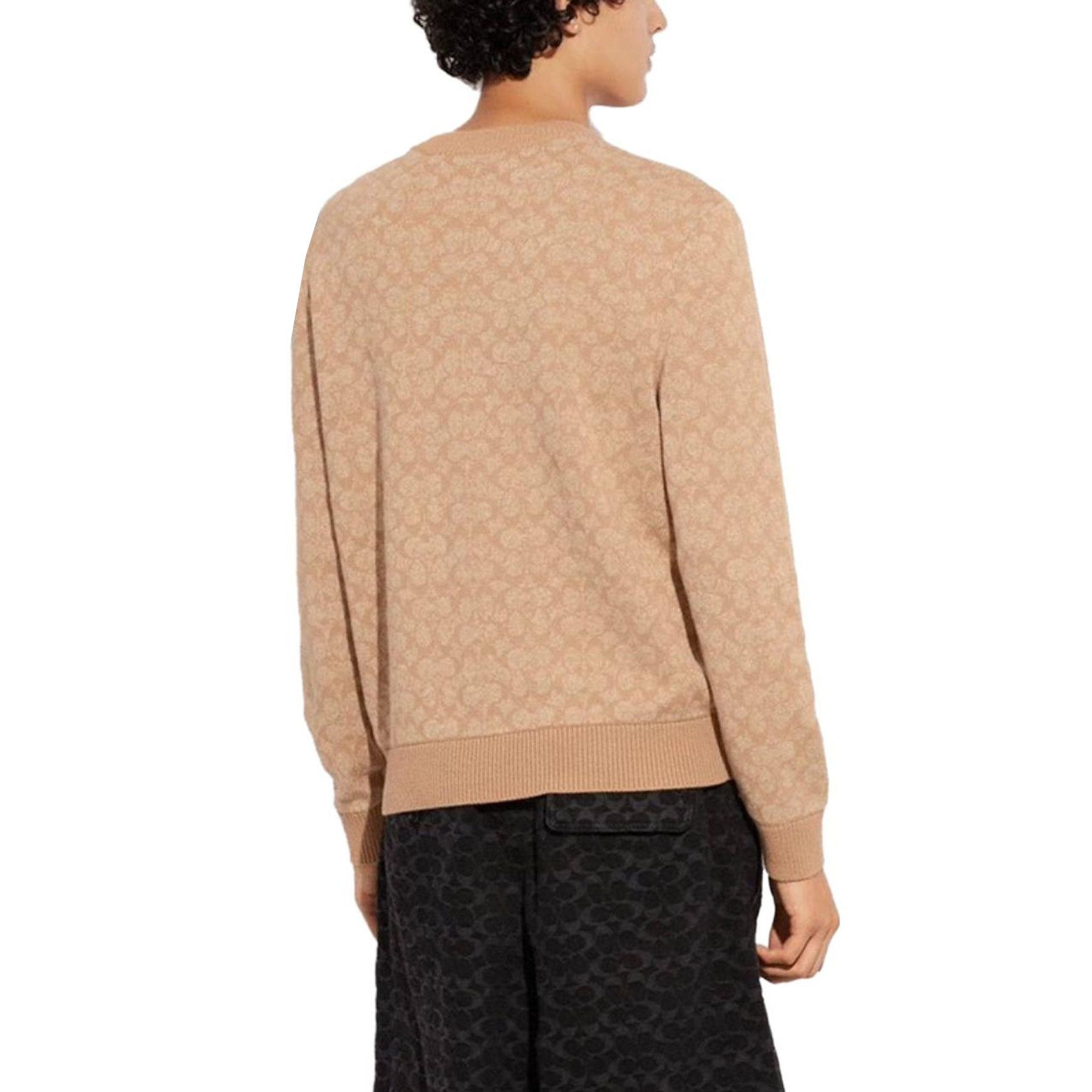 Shop (W) COACH 满版印花圆领套头衫卫衣. CA308-CAM