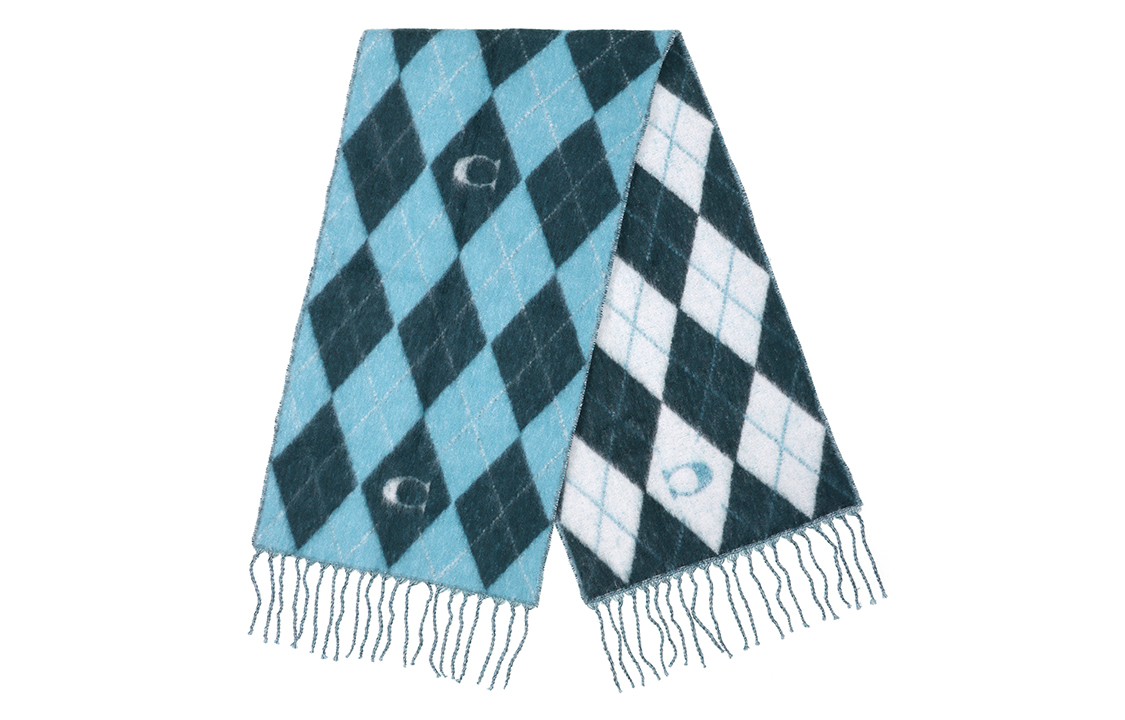 Lookbook (W) 코치 블루 다이아몬드 프린트 니트 스카프. CE486QWP