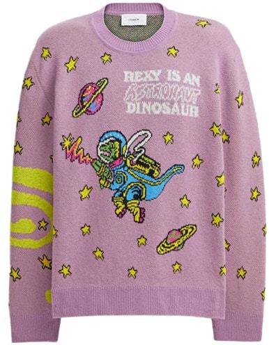 women-coach-cosmic-letter-embroidered-knit-sweater-purple-cj-305-pup