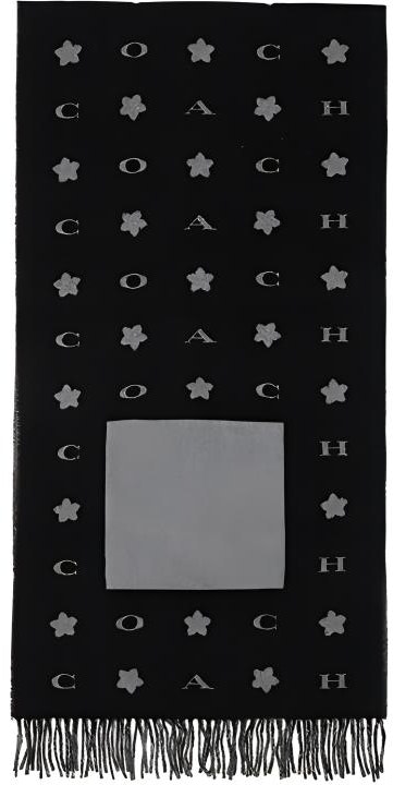 women-coach-fashion-trend-simple-versatile-scarf-76391-blk