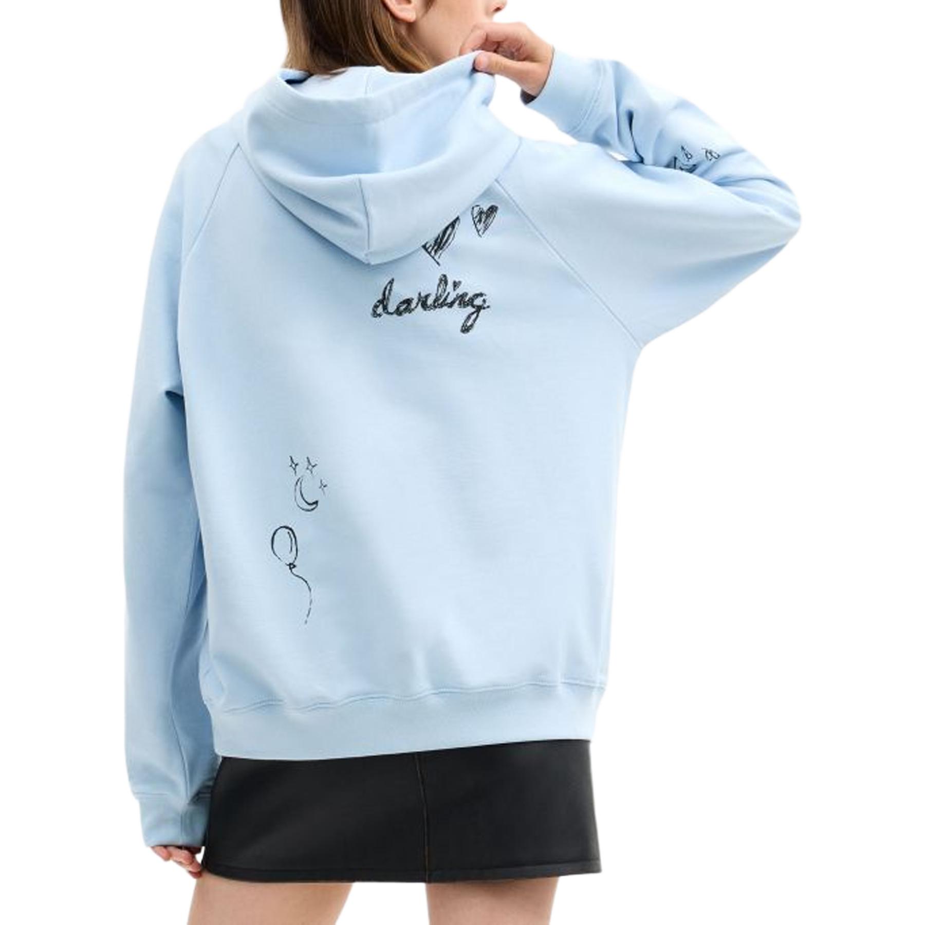 Purchase (Women) COACH  Hoodie FW25 Rabbit Graphic Long Sleeve Pullover CCO78-LBL