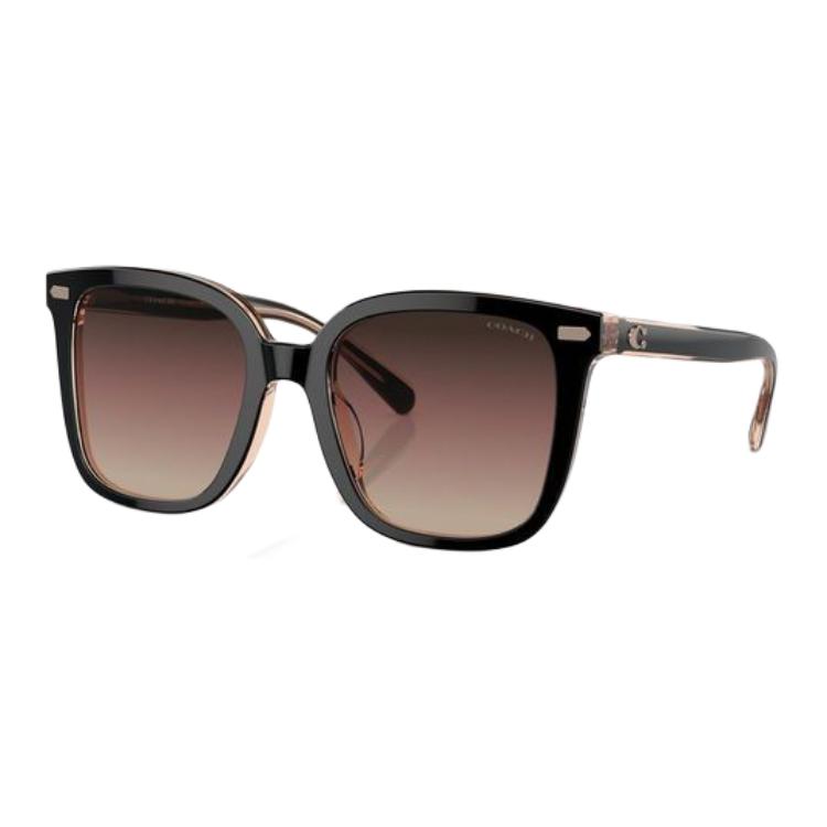 (Women) COACH  Irregular Black Acetate Sunglasses with Logo Temple Design. CI918HC8381U5781E2