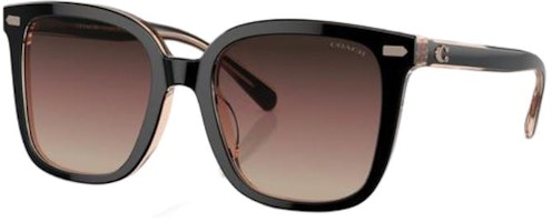 (Women) COACH Irregular Black Acetate Sunglasses with Logo Temple Design. CI918HC8381U5781E2 (Women) COACH Irregular Black Acetate Sunglasses with Logo Temple Design. CI918HC8381U5781E2