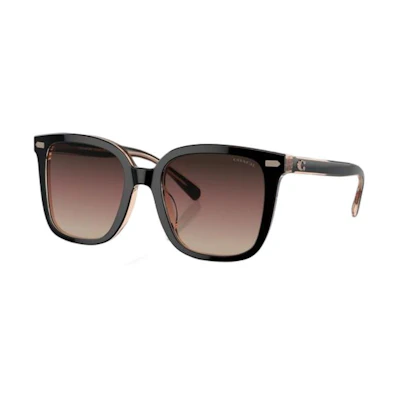 (Women) COACH Irregular Black Acetate Sunglasses with Logo Temple Design. CI918HC8381U5781E2
