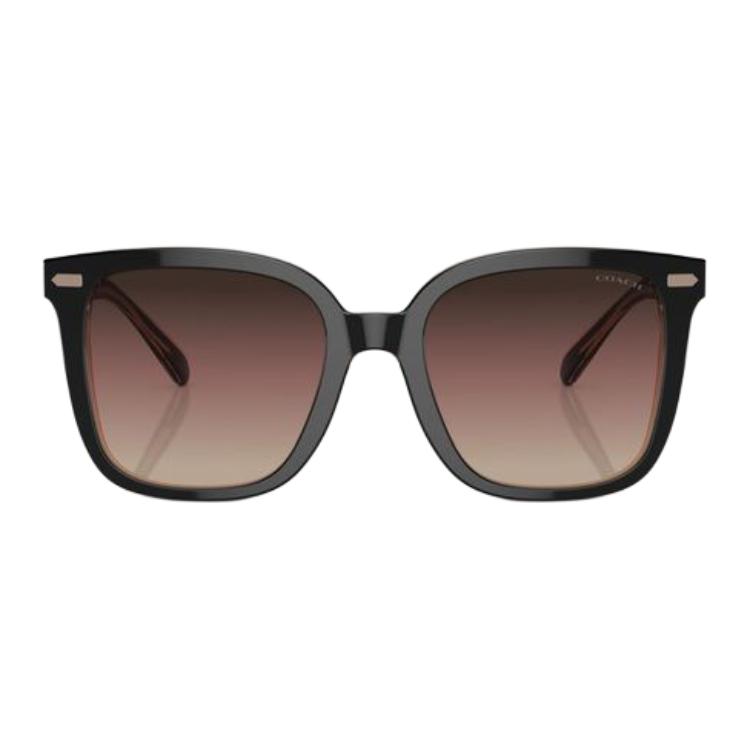 Lookbook (W) 蔻驰不规则黑色醋酸板太阳镜，Logo镜腿设计. CI918HC8381U5781E2