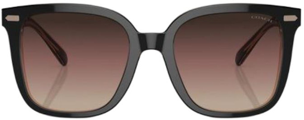 (W) 蔻驰不规则黑色醋酸板太阳镜,Logo镜腿设计. CI918HC8381U5781E2 Lookbook (W) 蔻驰不规则黑色醋酸板太阳镜,Logo镜腿设计. CI918HC8381U5781E2