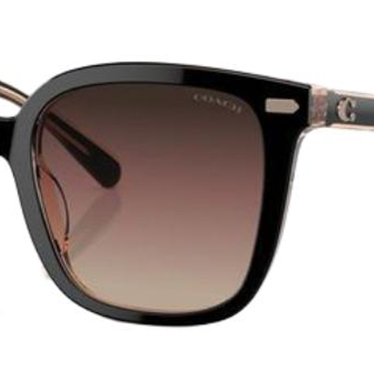 Shop (W) 蔻驰不规则黑色醋酸板太阳镜，Logo镜腿设计. CI918HC8381U5781E2