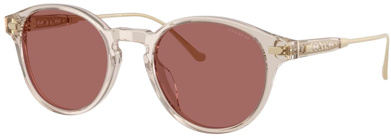 women-coach-irregular-metal-rivet-sunglasses-in-transparent-sand-color-cad-83-snd