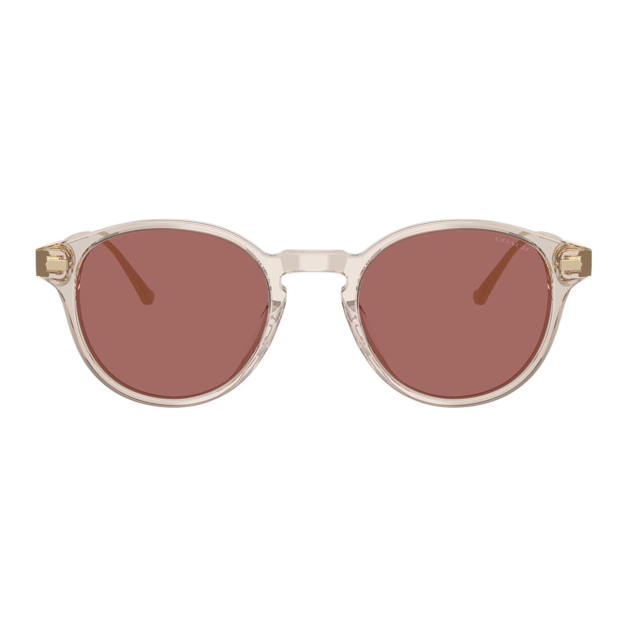 Lookbook (W) COACH 不規則金屬鉚釘墨鏡-透明沙色 CAD83-SND