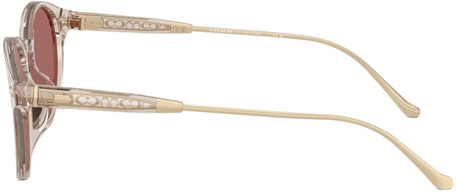 (W) COACH 不規則金屬鉚釘墨鏡-透明沙色 CAD83-SND Shop (W) COACH 不規則金屬鉚釘墨鏡-透明沙色 CAD83-SND
