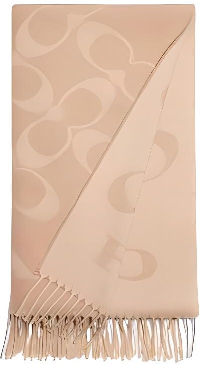 women-coach-logo-print-warm-and-cozy-knit-scarf-cb-684-cam