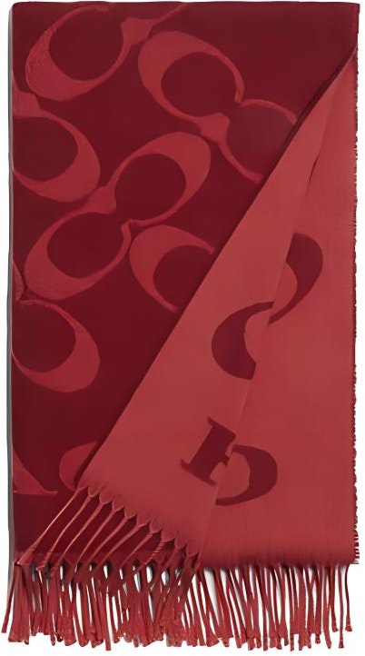 women-coach-tassel-monogram-print-knit-scarf-cb-684-f8-q