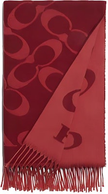 (W) COACH 流蘇字母印花針織圍巾. CB684-F8Q Buy (W) COACH 流蘇字母印花針織圍巾. CB684-F8Q