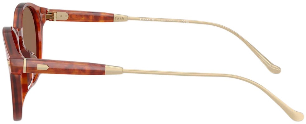 (W) Kacamata COACH Tortoiseshell Motif Bunga dengan Frame Tidak Beraturan. CAD83-VY9 Shop (W) Kacamata COACH Tortoiseshell Motif Bunga dengan Frame Tidak Beraturan. CAD83-VY9