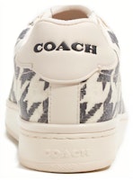 (W) 蔲驰黑色圆头低帮帆布皮革运动鞋 CK460_L77 Purchase (W) 蔲驰黑色圆头低帮帆布皮革运动鞋 CK460_L77