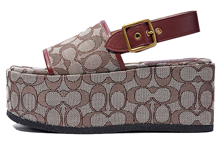 (W) Coach Chunky Heel Sandals 'Brown'