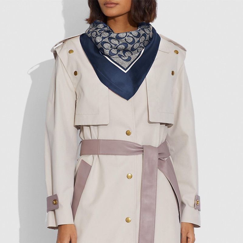 Lookbook (W) コーチ クラシック ロゴ スカーフ C2755-DWP