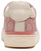 (W) Coach Clip Low Top 'Fashion Pink' - Kasut Rendah Coach Clip 'Pink Fesyen' CG900_PIN Purchase (W) Coach Clip Low Top 'Fashion Pink' - Kasut Rendah Coach Clip 'Pink Fesyen' CG900_PIN