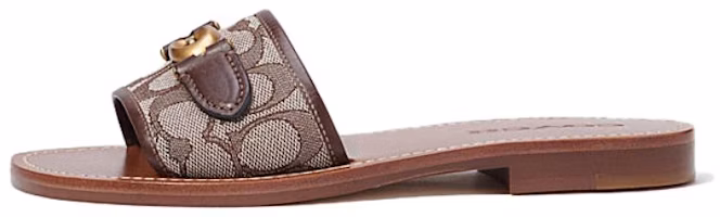 (Women) Coach Flat Sandal 'Dark Coffee' CI202_VJN (Women) Coach Flat Sandal 'Dark Coffee' CI202_VJN