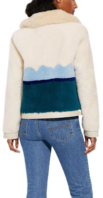 (Women) COACH FW22 Colorblock Casual Collar Jacket - White CA693-L38 Shop (Women) COACH FW22 Colorblock Casual Collar Jacket - White CA693-L38