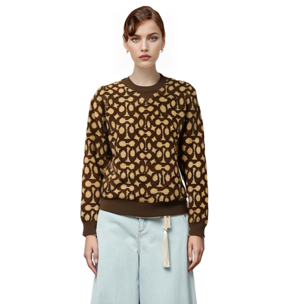 Details for (Women) COACH FW22  Colorblock Crewneck Pullover Sweatshirt Brown. C6550-SXR