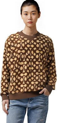 (Women) COACH FW22 Colorblock Crewneck Pullover Sweatshirt Brown. C6550-SXR Sizing (Women) COACH FW22 Colorblock Crewneck Pullover Sweatshirt Brown. C6550-SXR