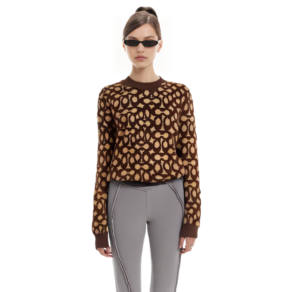 Cheap (Women) COACH FW22  Colorblock Crewneck Pullover Sweatshirt Brown. C6550-SXR