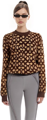 (Women) COACH FW22 Colorblock Crewneck Pullover Sweatshirt Brown. C6550-SXR Cheap (Women) COACH FW22 Colorblock Crewneck Pullover Sweatshirt Brown. C6550-SXR