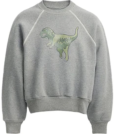 women-coach-fw-23-grey-cartoon-print-crewneck-long-sleeve-sweatshirt-co-086-nz-2