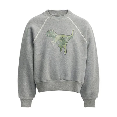 (Women) Coach FW23 Grey Cartoon Print Crewneck Long Sleeve Sweatshirt CO086-NZ2