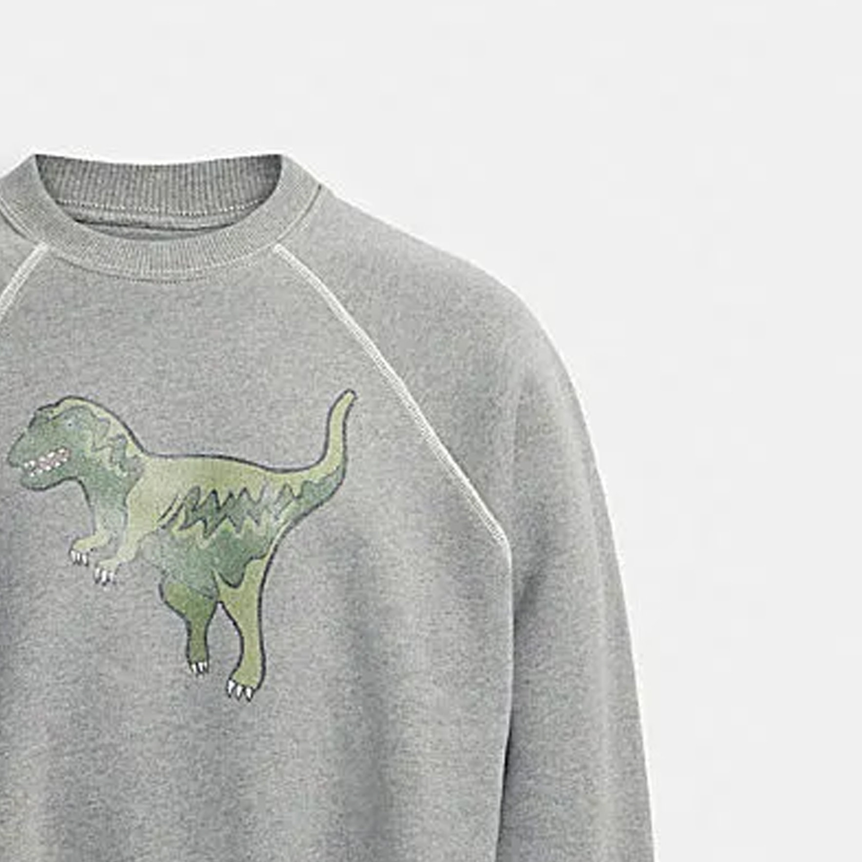 Purchase (W) Coach FW23 灰色卡通印花圓領長袖衛衣 CO086-NZ2