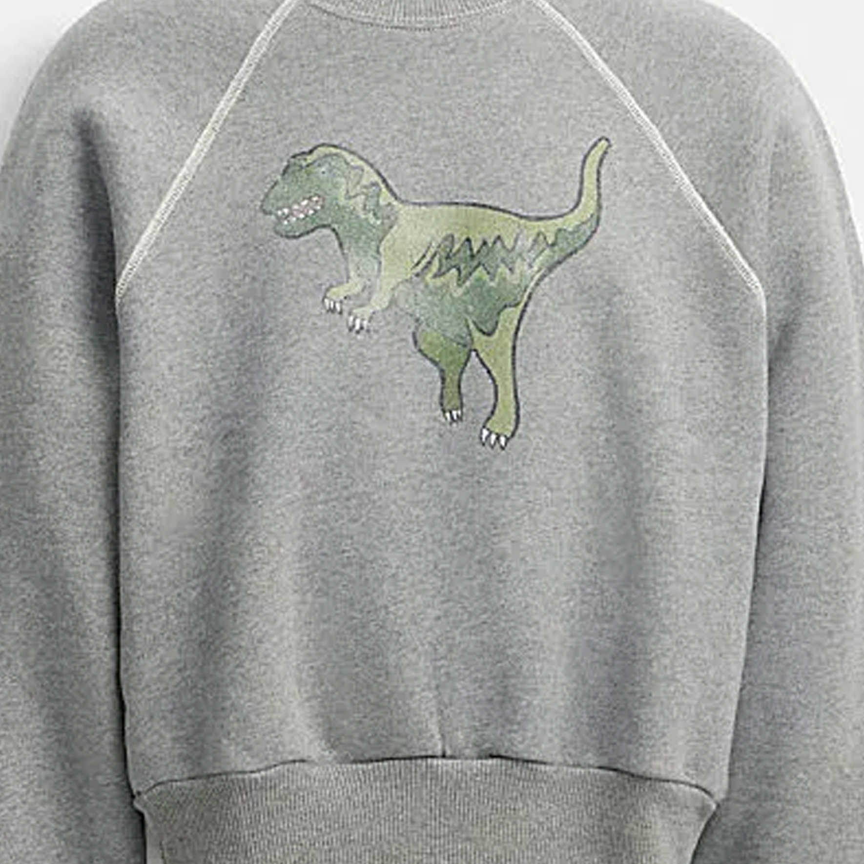 Details for (W) Coach FW23 灰色卡通印花圓領長袖衛衣 CO086-NZ2