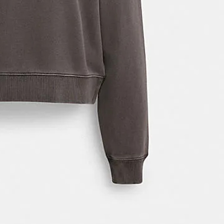 Details for (W) Coach FW23 灰色印花Logo休閒圓領衛衣 CI853-SMO